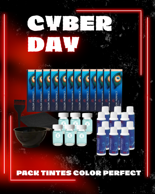 PACK TINTES COLOR PERFECT – CYBER DAY